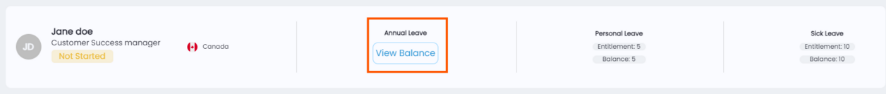 View Balance button for detailed leave overview